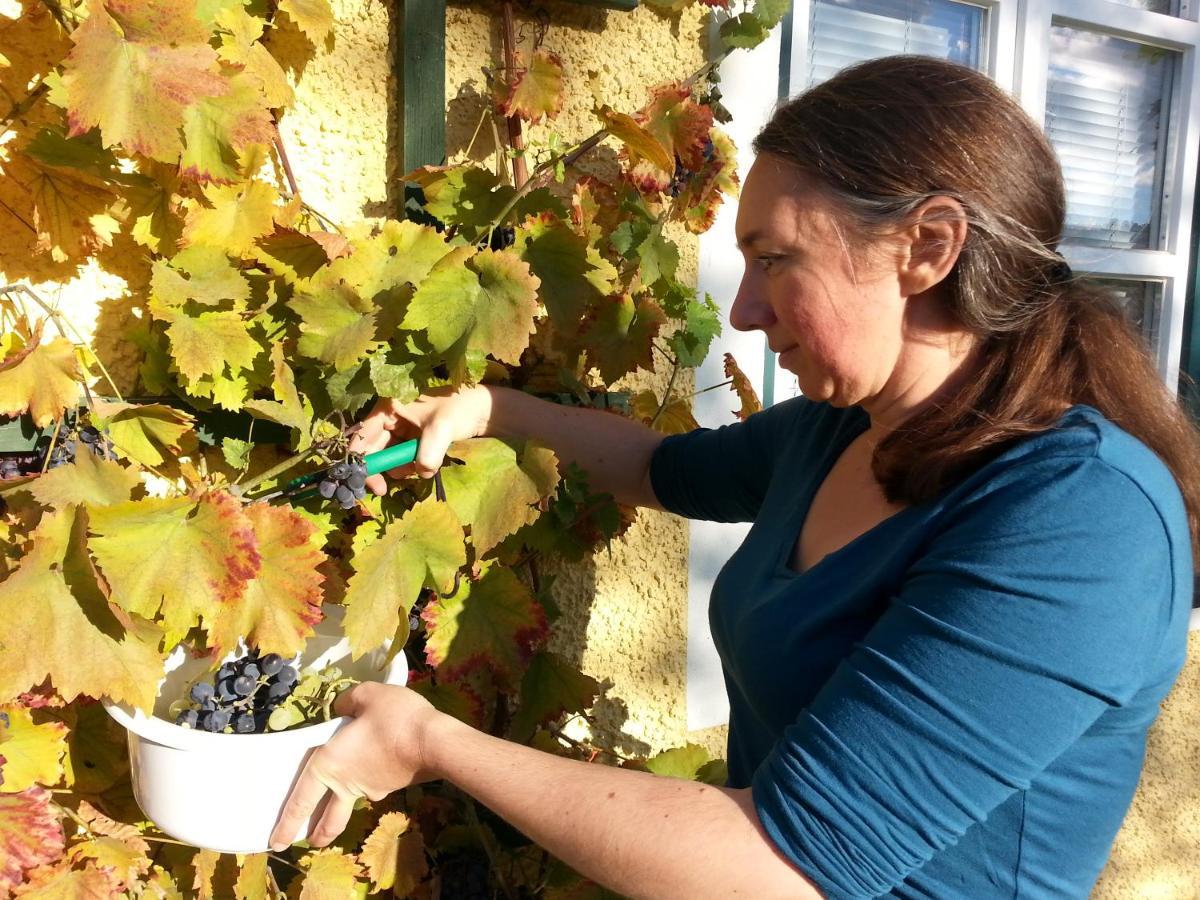 Appartamento Feriendomizil Wachau Habruck Esterno foto