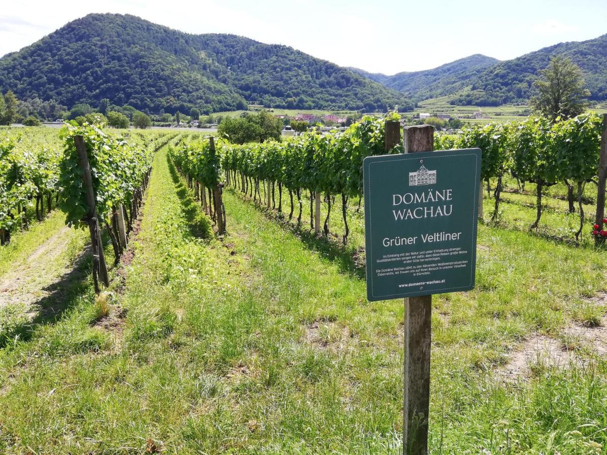 Appartamento Feriendomizil Wachau Habruck Esterno foto